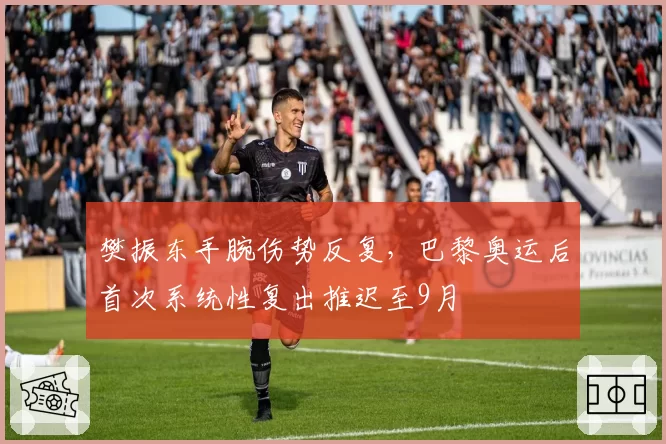 樊振东手腕伤势反复，巴黎奥运后首次系统性复出推迟至9月
