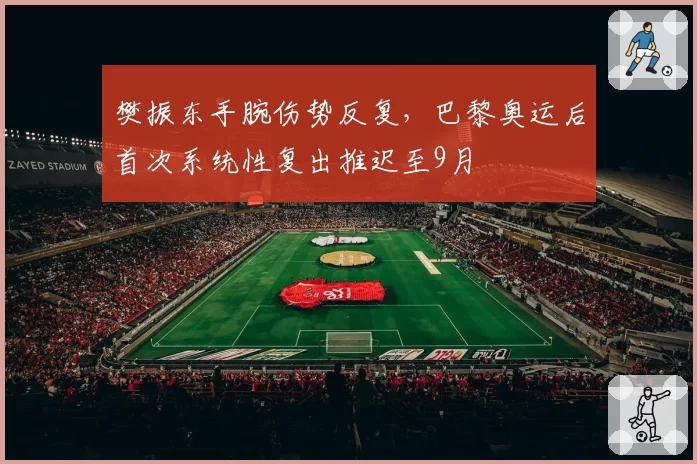 樊振东手腕伤势反复，巴黎奥运后首次系统性复出推迟至9月