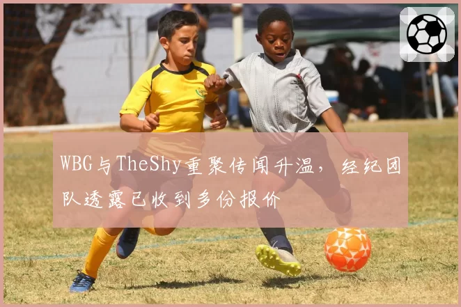 WBG与TheShy重聚传闻升温，经纪团队透露已收到多份报价