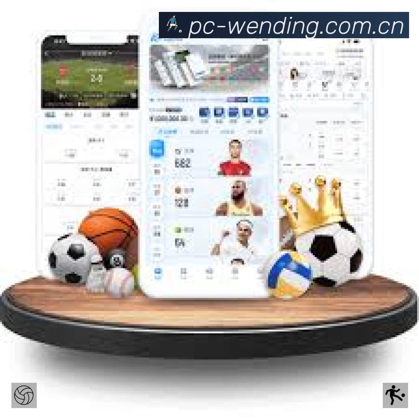 结构优化认证展示